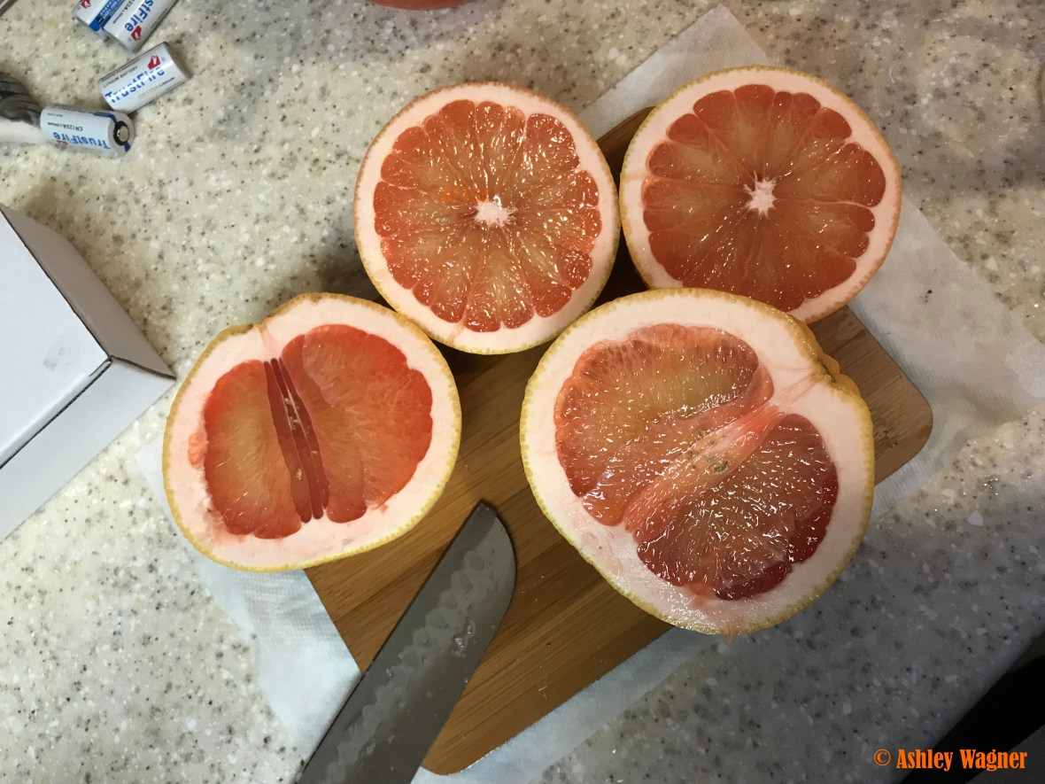 Photo Feb 17, 5 04 08 PM