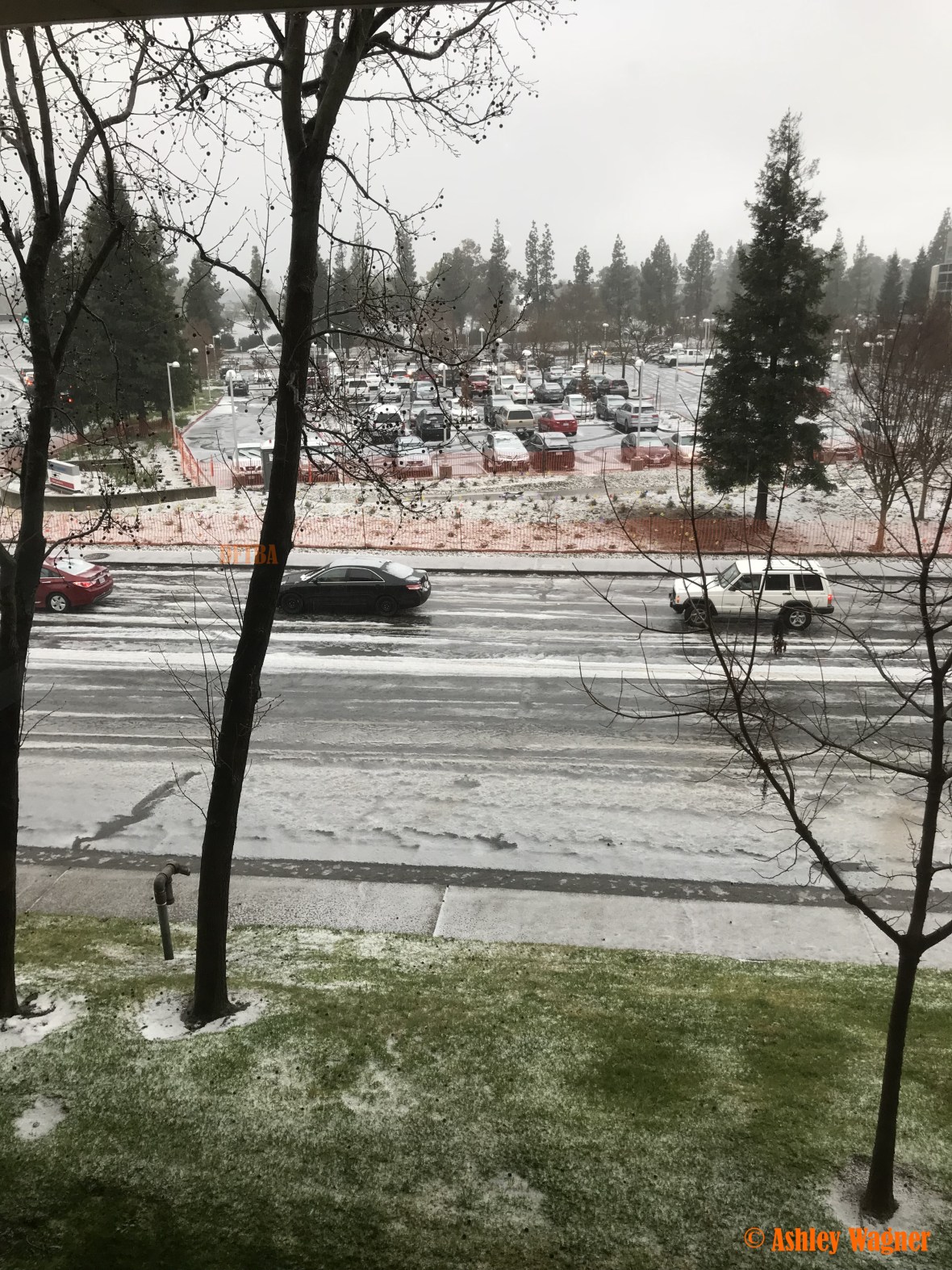 Photo Feb 26, 2 45 00 PM