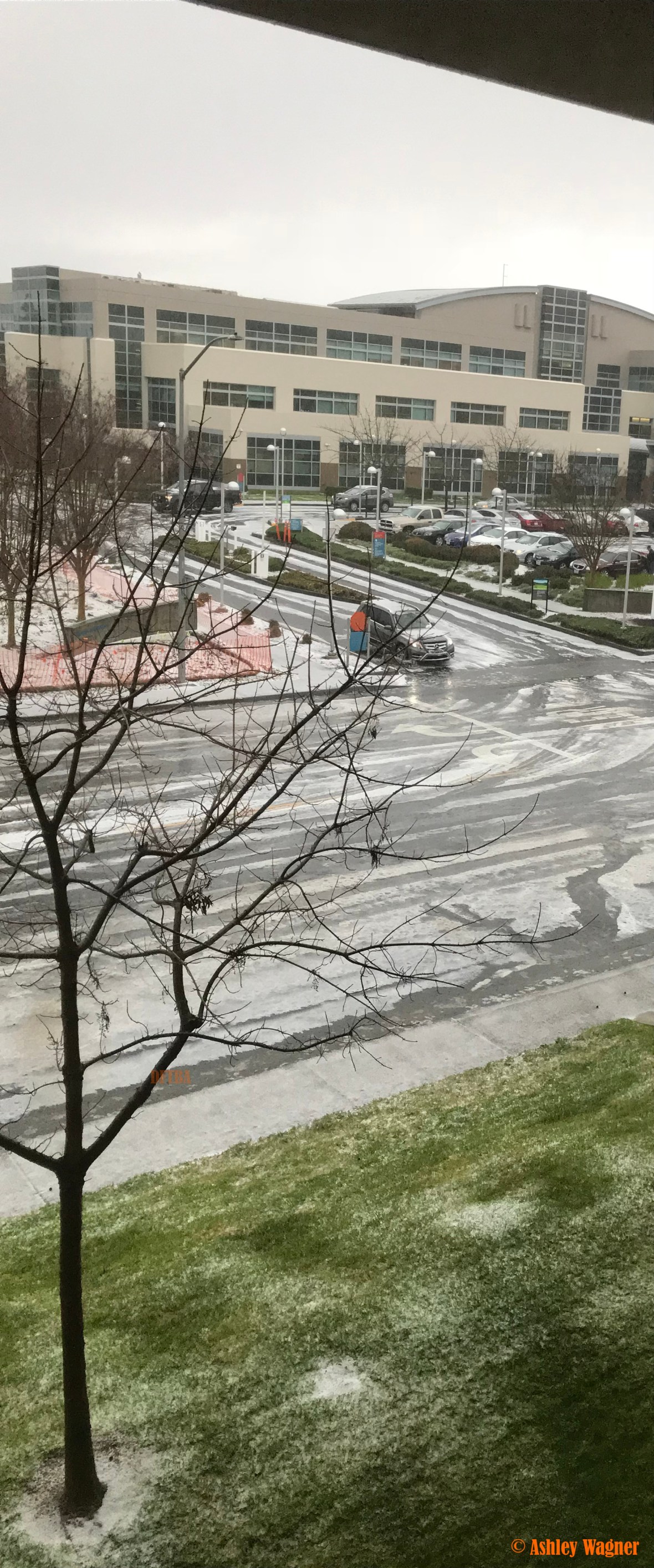 Photo Feb 26, 2 45 26 PM