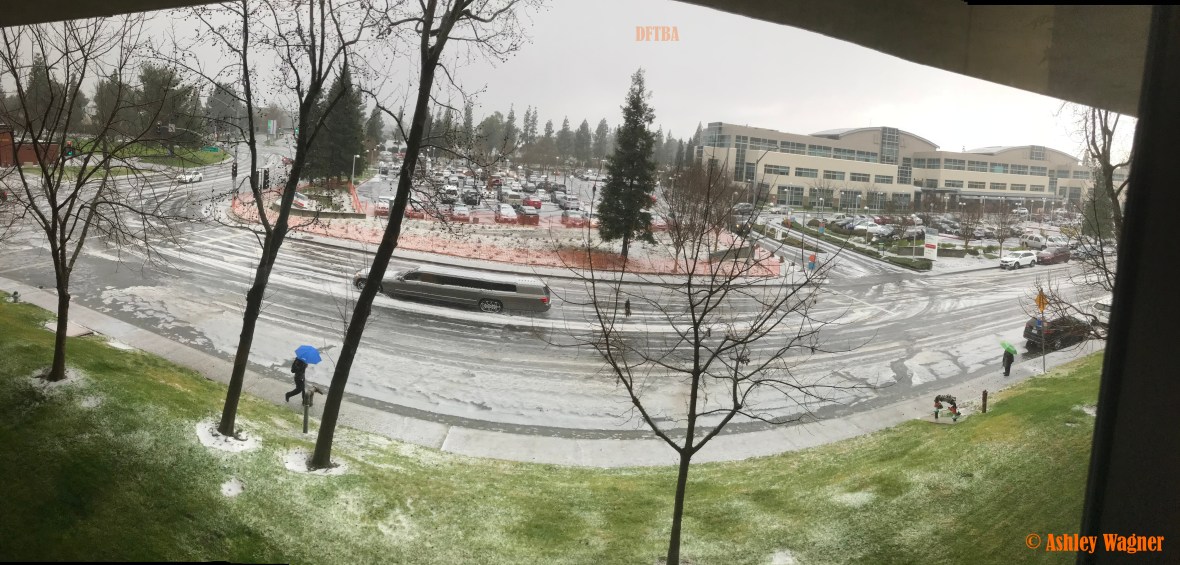 Photo Feb 26, 2 45 37 PM