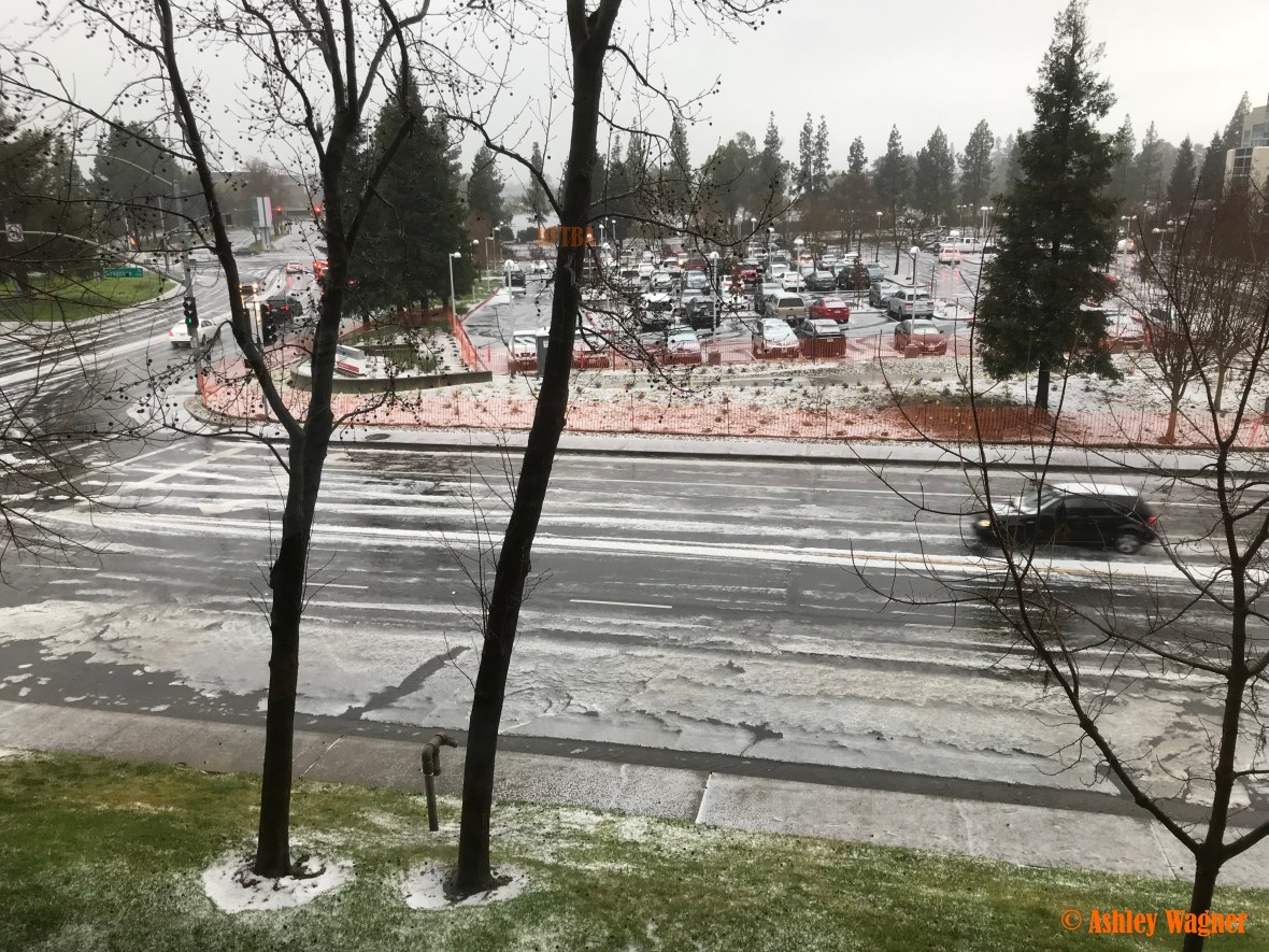 Photo Feb 26, 2 51 17 PM