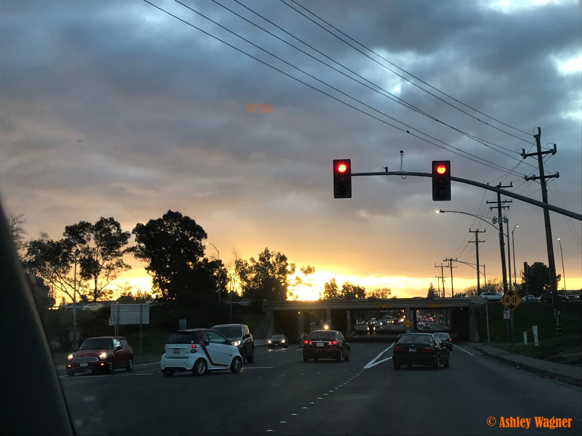 Photo Jan 25, 7 31 44 AM