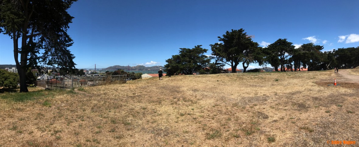 Photo Jun 11, 12 25 06 PM