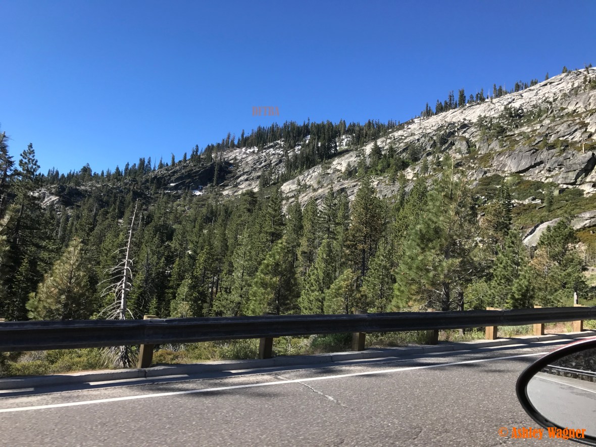 Photo Jun 16, 8 21 51 AM