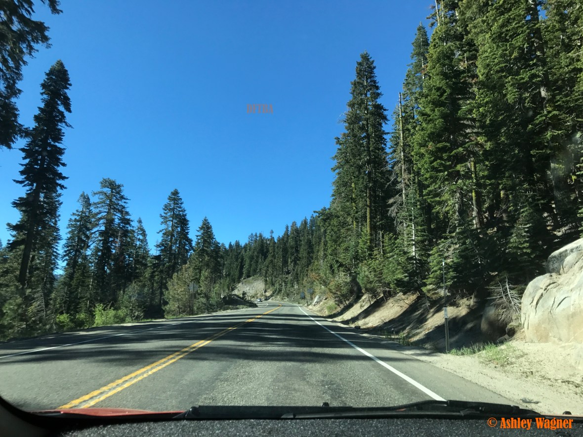 Photo Jun 16, 8 23 44 AM