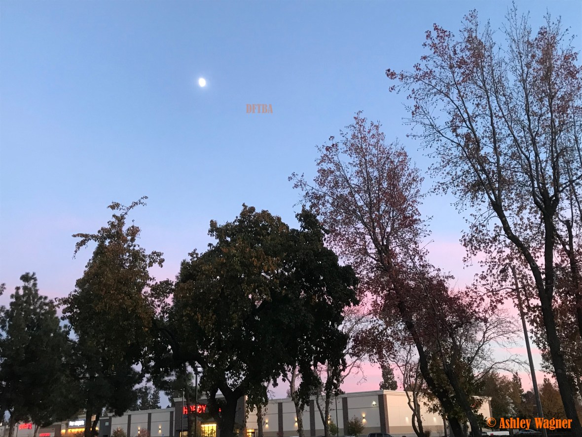 Photo Nov 28, 4 58 15 PM