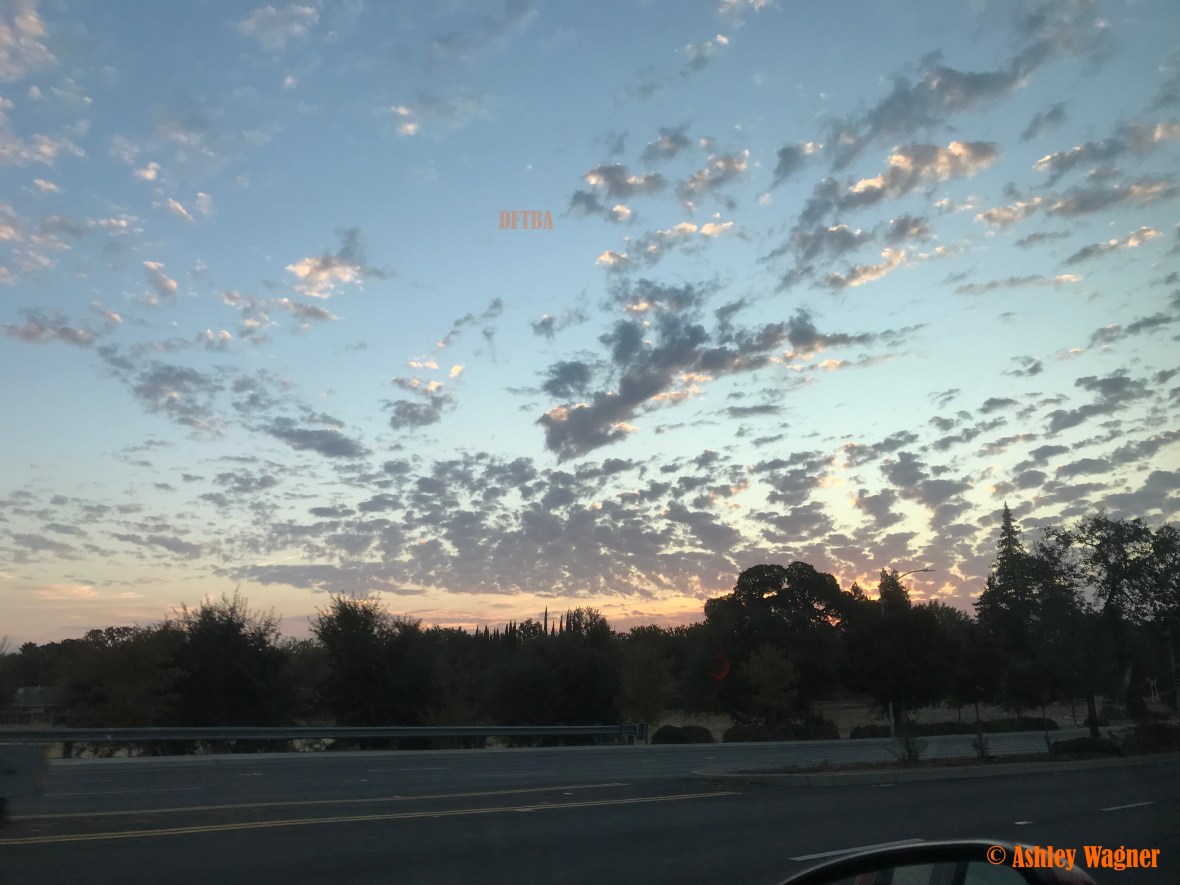 Photo Oct 17, 7 21 31 AM