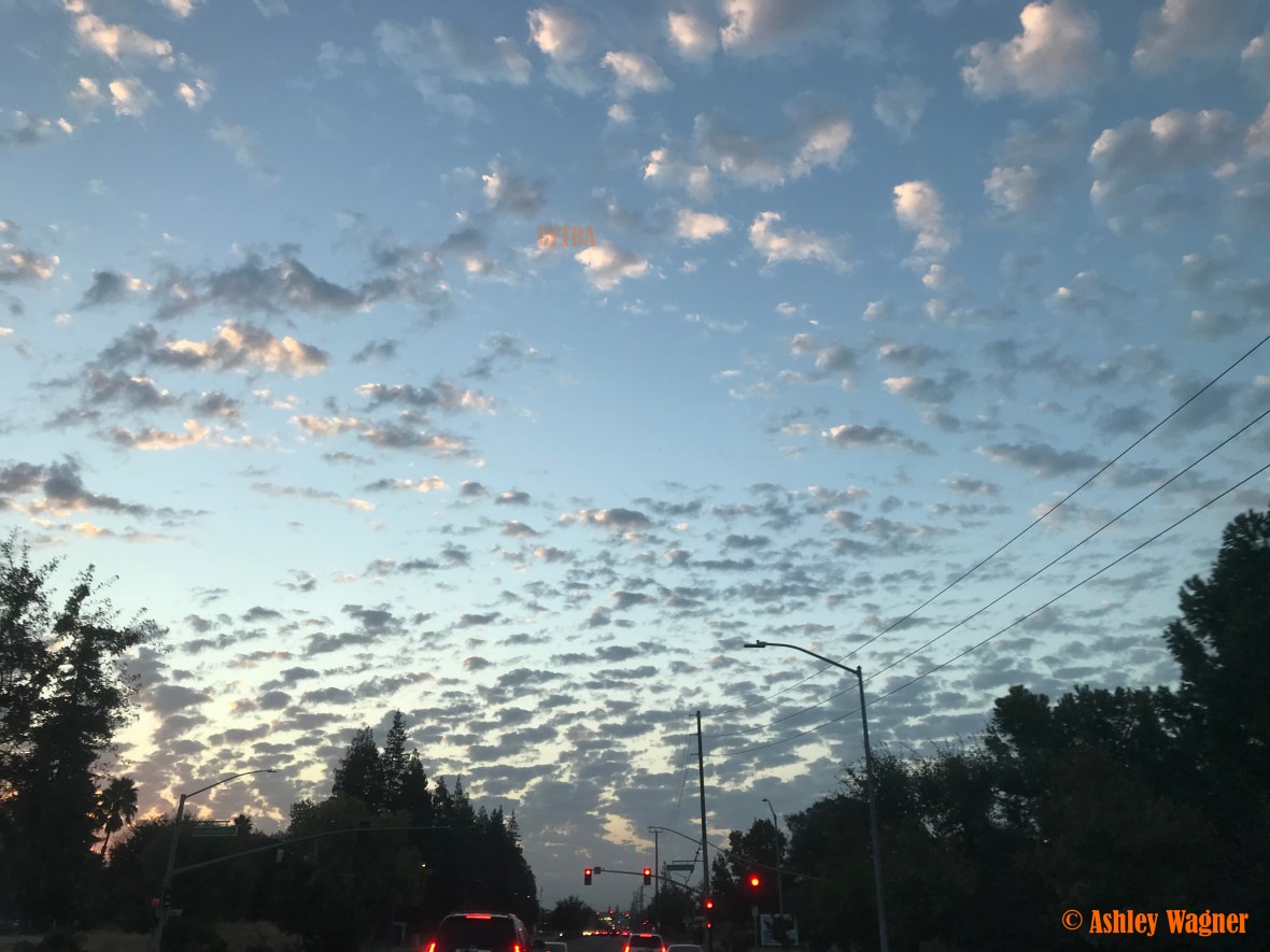 Photo Oct 17, 7 21 35 AM