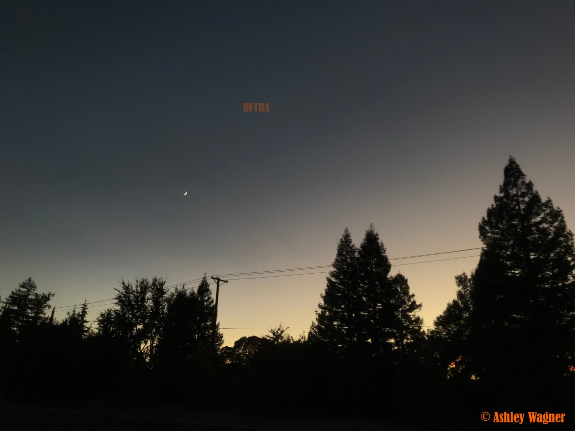 Photo Oct 23, 6 32 46 PM