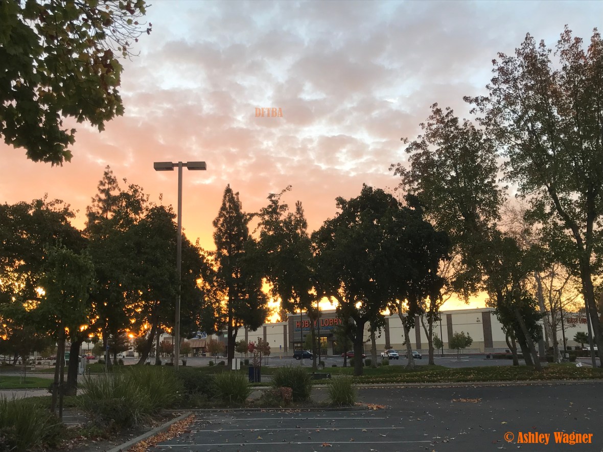 Photo Oct 30, 7 42 18 AM